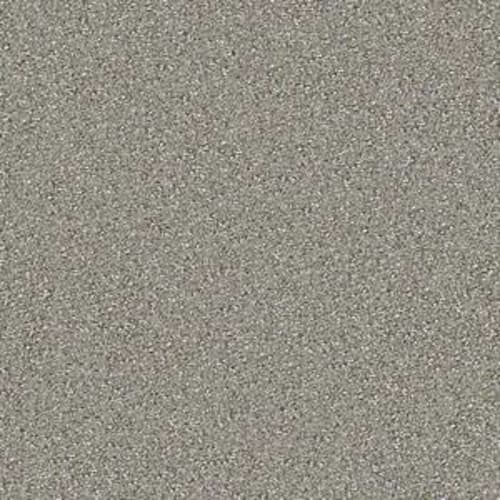 BOLD ADVENTURE in Graystone Carpet