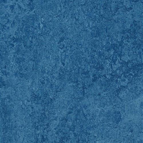 Marmoleum Real in Blue Vinyl Sheet Goods