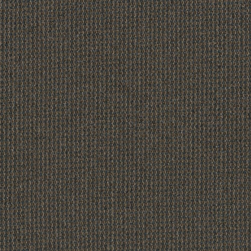 Backroads in Sunday Drive Carpet