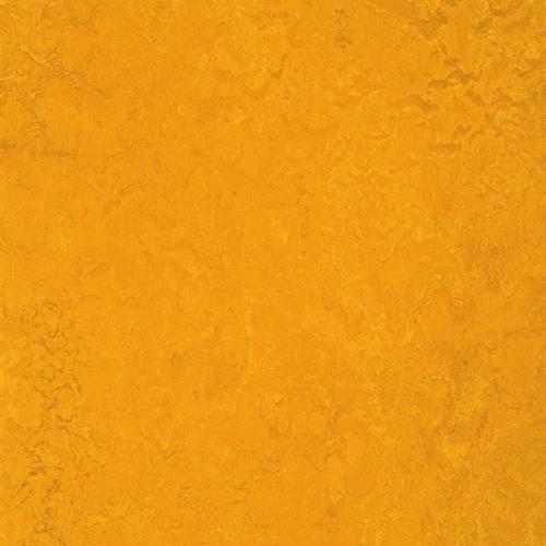 Marmoleum Fresco in Golden Sunset Vinyl Sheet Goods