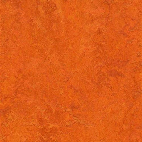 Marmoleum Fresco in Kyoto Vinyl Sheet Goods