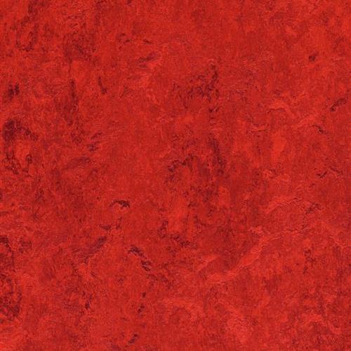 Marmoleum Real in Bleeckerstreet Vinyl Sheet Goods