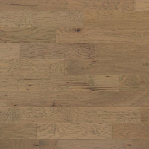 Lantana In Davy Lamp