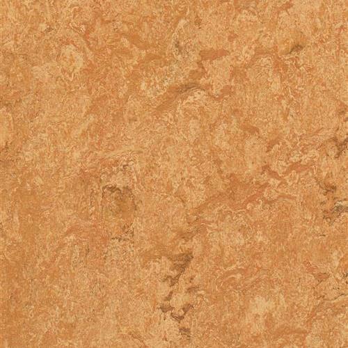 Marmoleum Real in Sahara Vinyl Sheet Goods