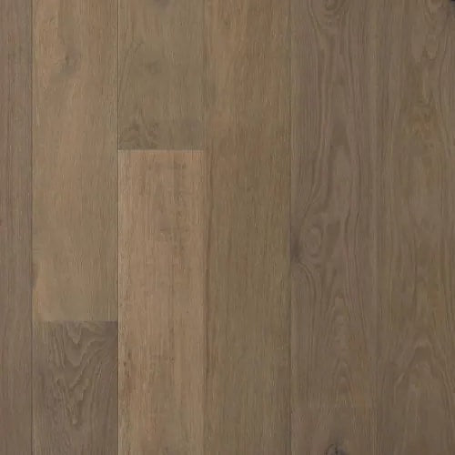 Bohemia Collection In Spurlock