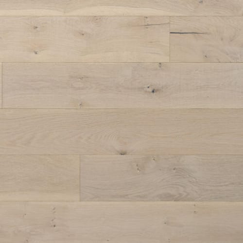 Bohemia Collection In White River