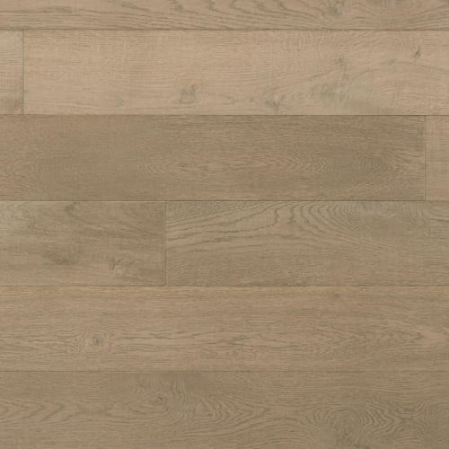 Bohemia Collection In Wolf Point