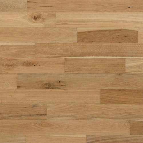 Formation In Sandpaper