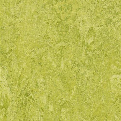 Marmoleum Real in Chartreuse Vinyl Sheet Goods