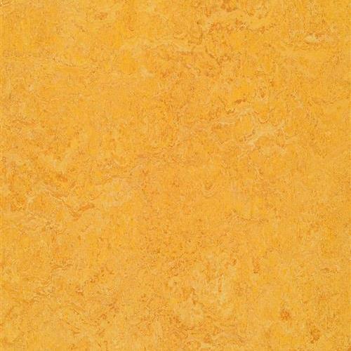 Marmoleum Real In Dandelion