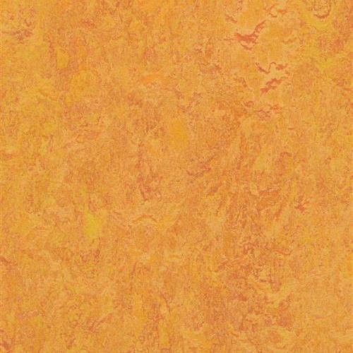 Marmoleum Fresco in Marigold Vinyl Sheet Goods