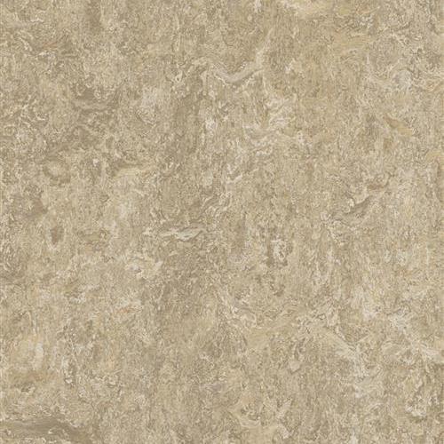 Marmoleum Real In Forest Ground