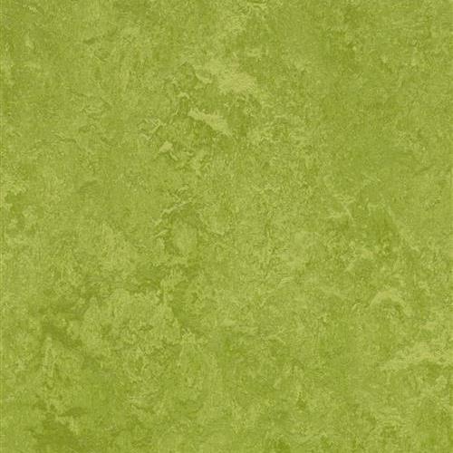 Marmoleum Fresco in Green Vinyl Sheet Goods