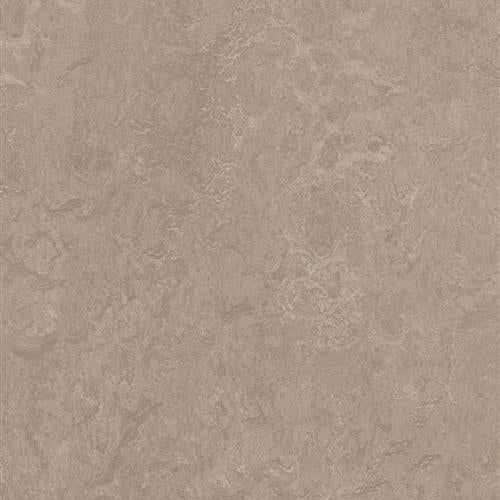 Marmoleum Fresco in Sparrow Vinyl Sheet Goods