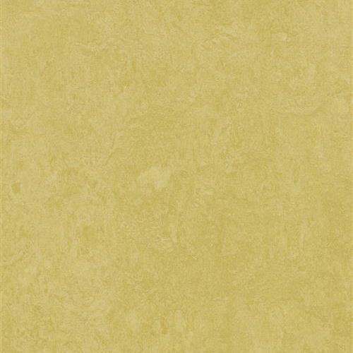 Marmoleum Fresco in Mustard Vinyl Sheet Goods