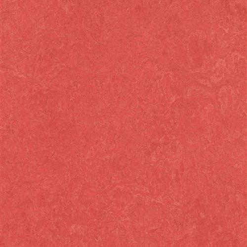 Marmoleum Fresco in Rose Vinyl Sheet Goods