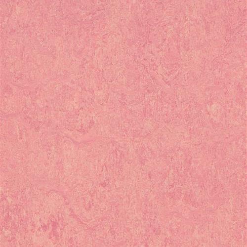 Marmoleum Real In Honey Suckle