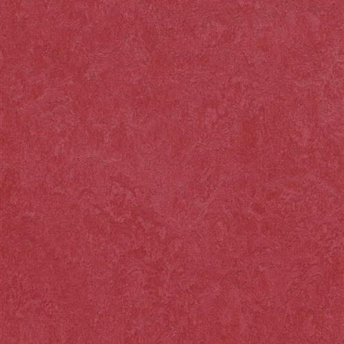 Marmoleum Fresco in Ruby Vinyl Sheet Goods