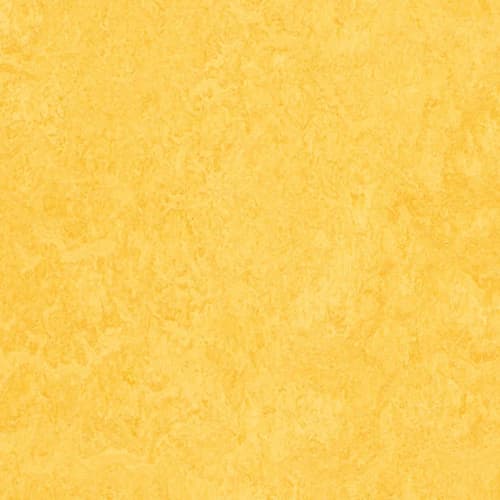 Marmoleum - Cinch LOC SEAL in Lemon Zest Vinyl Sheet Goods