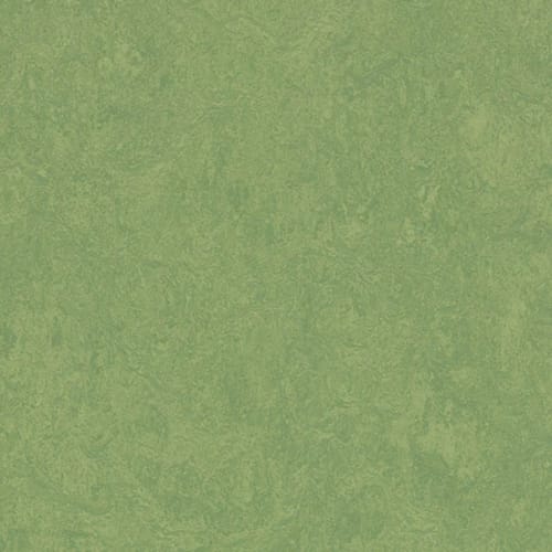 Marmoleum - Cinch LOC SEAL in Leaf Vinyl Sheet Goods