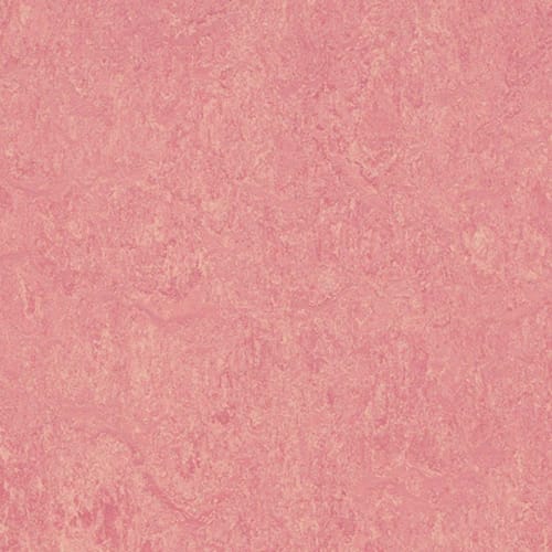 Marmoleum - Cinch LOC SEAL in Honey Suckle Vinyl Sheet Goods