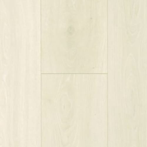 Boardwalk Collective In Gulf Sand