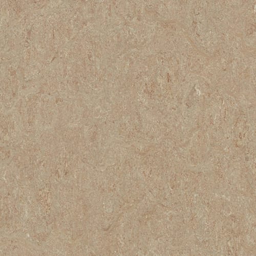 Marmoleum - Cinch LOC SEAL in Weathered Sand Vinyl Sheet Goods