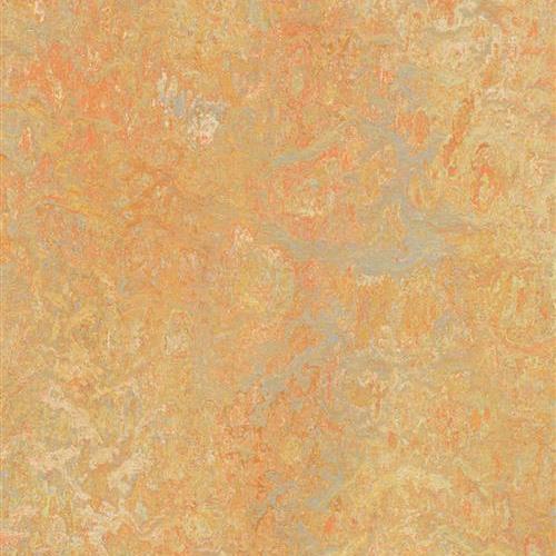Marmoleum Vivace In Sunny Day