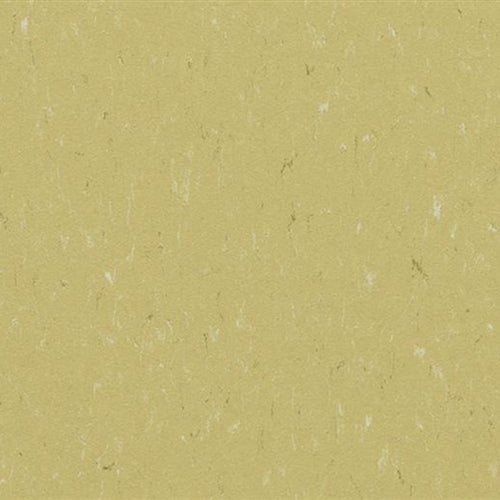 Marmoleum Piano in Meadow Vinyl Sheet Goods