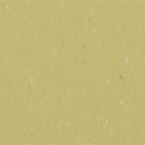 Marmoleum Piano In Meadow