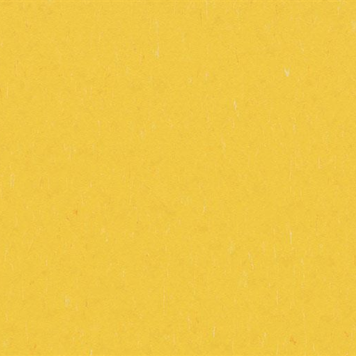 Marmoleum Piano In Sunray