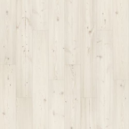Glacial Isle In Glacier Pine