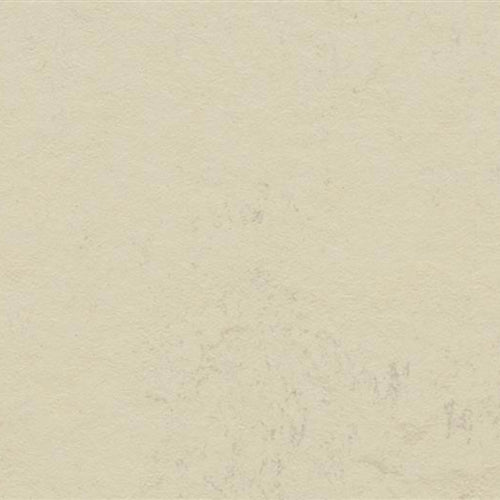Marmoleum Concrete in Moon Vinyl Sheet Goods