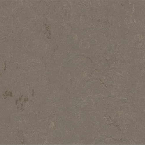 Marmoleum Concrete in Meteorite Vinyl Sheet Goods