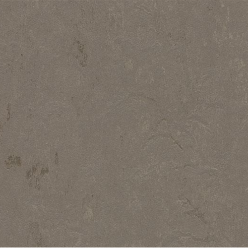 Marmoleum Concrete In Meteorite