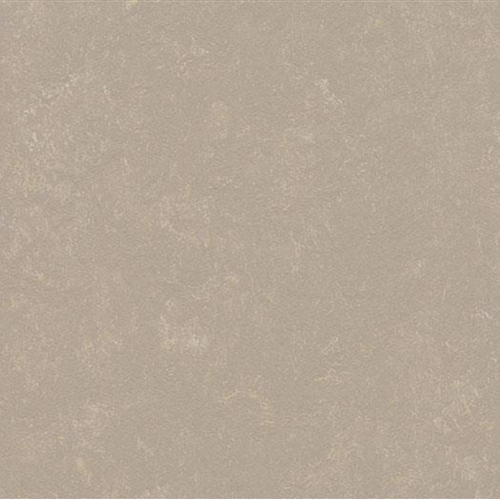 Marmoleum Concrete In Fossil