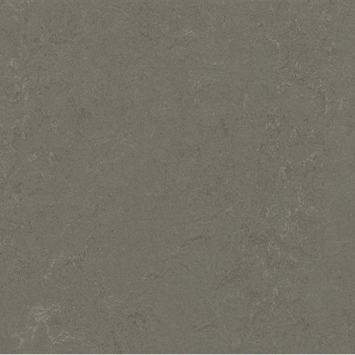 Marmoleum Concrete in Nebula Vinyl Sheet Goods