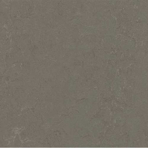 Marmoleum Concrete In Nebula