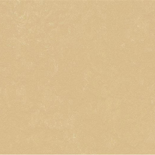 Marmoleum Concrete in Venus Vinyl Sheet Goods