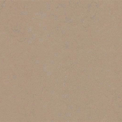 Marmoleum Concrete in Drift Vinyl Sheet Goods