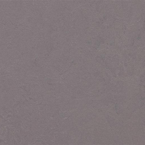 Marmoleum Concrete In Stella