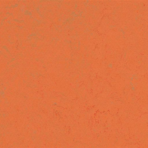 Marmoleum Concrete in Orange Glow Vinyl Sheet Goods