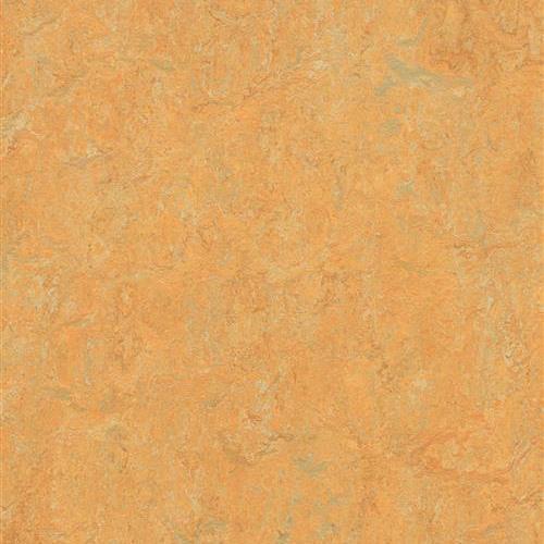Marmoleum Real In Golden Saffron