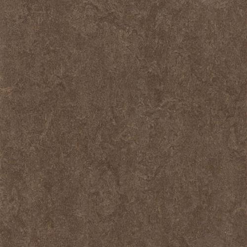 Marmoleum Fresco in Walnut Vinyl Sheet Goods