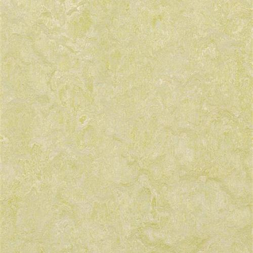 Marmoleum Real in Green Wellness Vinyl Sheet Goods