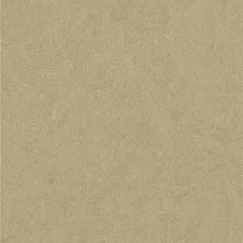 Marmoleum Fresco in Oat Vinyl Sheet Goods