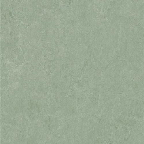 Marmoleum Fresco in Sage Vinyl Sheet Goods