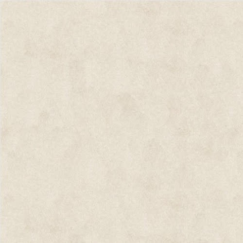 Mesh Weave in Barley Carpet