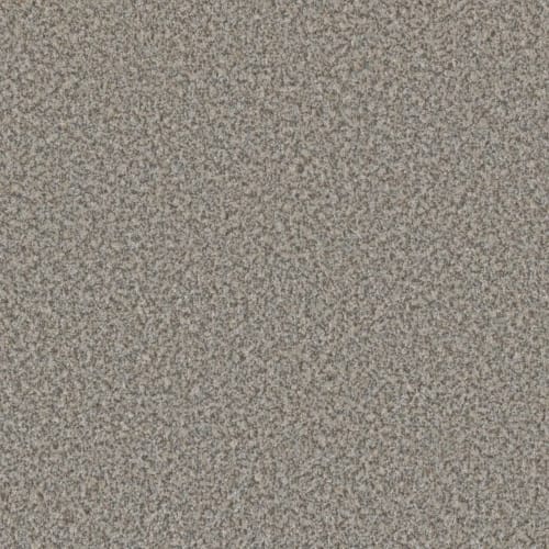 Color Sophistication II