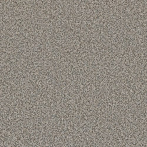 Color Sophistication III